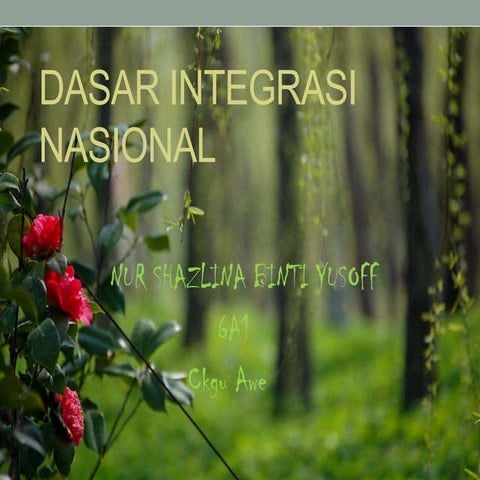 Dasar integrasi nasional