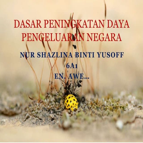 Dasar peningkatan daya pengeluaran negara