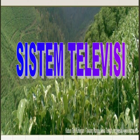 Fundamentals of Television Signal Processing and Transmission ...