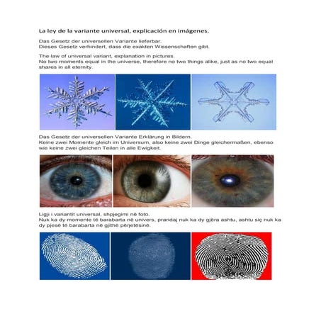 Das gesetz der universellen variante bildern.