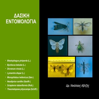 Δασική εντομολογία