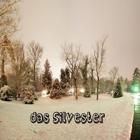 Das Silvester