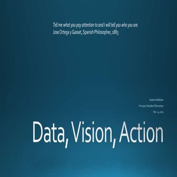 McMulen Data Vision Action 11.14.13