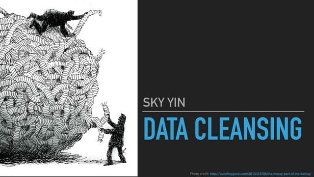 Data cleansing