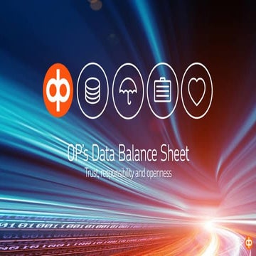 Data balance sheet 