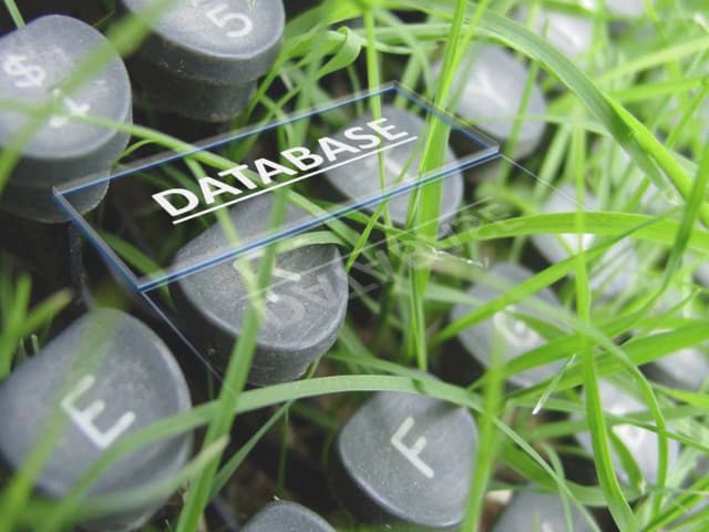 DBMS Database Management System
