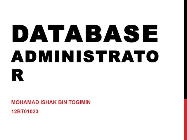 Database Administrator - Job Scope