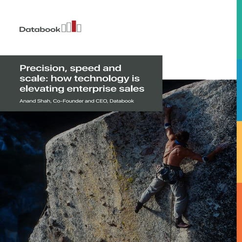 Databook White Paper - Precision Selling (Nov 2018)