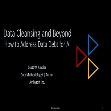 Data Cleansing and Beyond:  How to Address Data Debt for AI