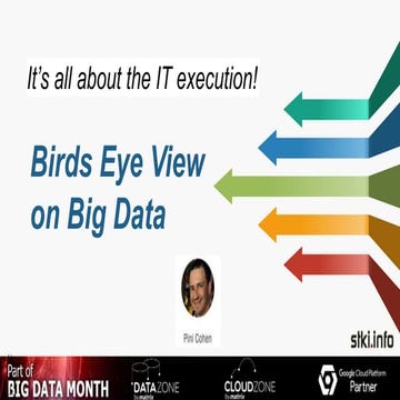 Birds Eye View on Big Data by STKI