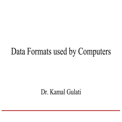 Data Formats used by Computers | PPT