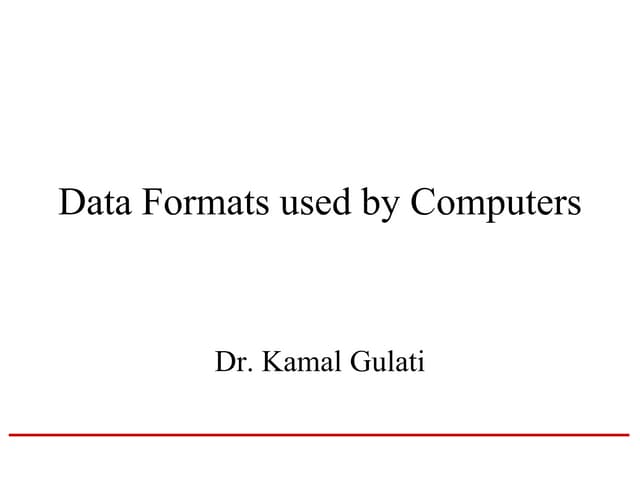 Data Formats used by Computers