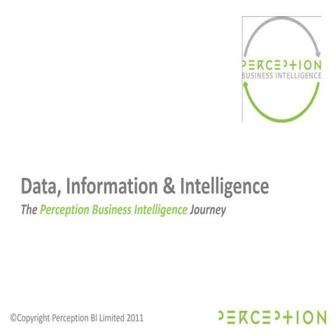Data, Information, Intelligence   The Perception Bi Journey