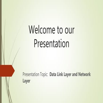 Presentation Data Link Layer and Network Layer