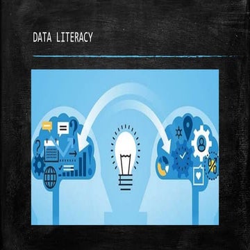 Data Literacy