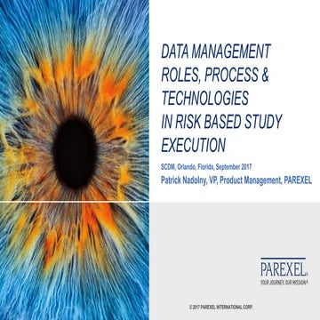 Data Management Roles, Process and Technologies In Risk Based Study Execution