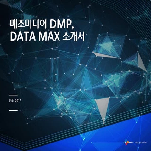 [메조미디어] Data Max 소개서