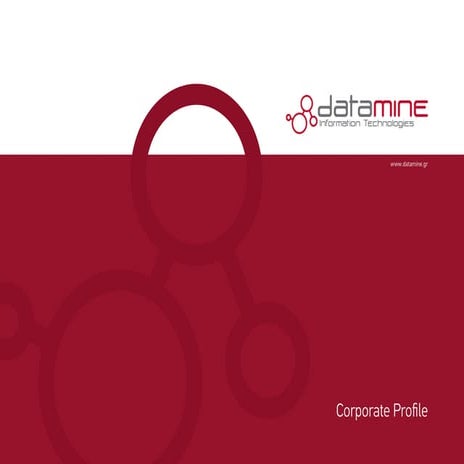 Datamine corporate profile