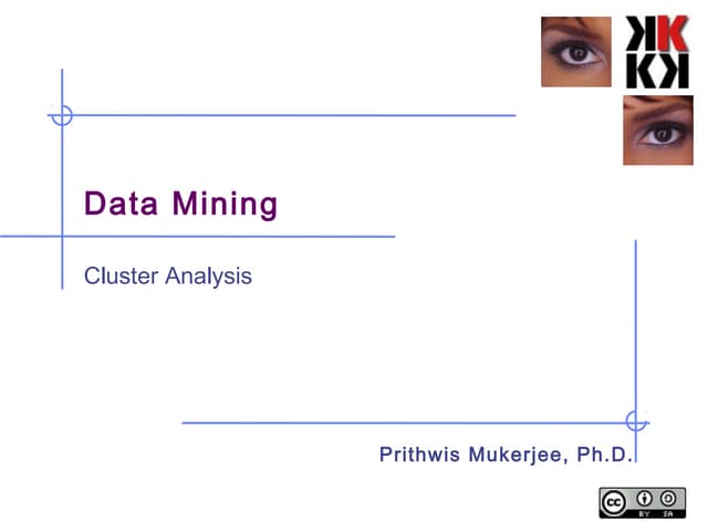 Data mining clustering-2009-v0