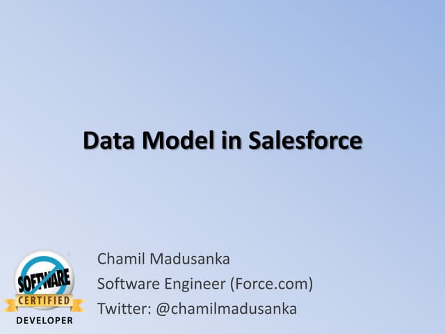 Data model in salesforce
