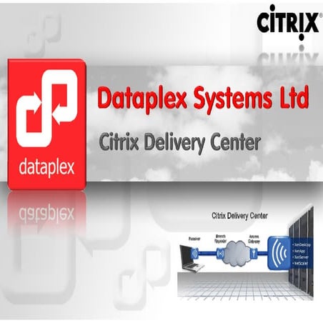 Dataplex Company Overview