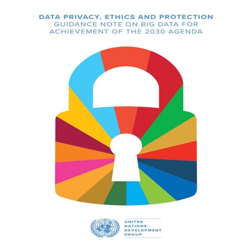 2b A-Using Big Data for the Sustainable Development Goals 10222015.pdf