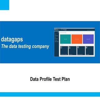 Data Profile Test Plan