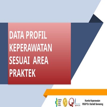 DATA PROFIL KEPERAWATAN SESUAI AREA PRAKTEK | PPTX