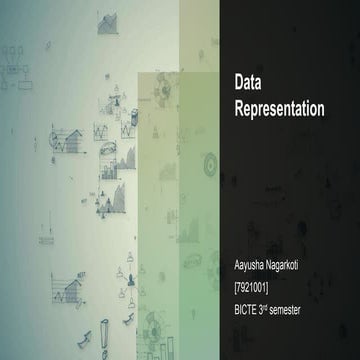Data_Representation_CAO.pptx............