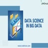 Data Science In Big Data.pdf
