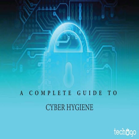 A Complete Guide to Cyber Hygiene | PDF