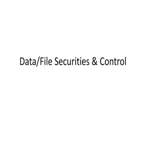 Data/File Security & Control | PPT