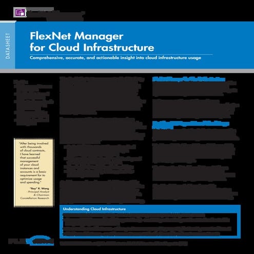 FlexNet Manager for Cloud Infrastructure 