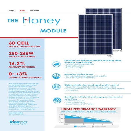 Trina Honey Datasheet 