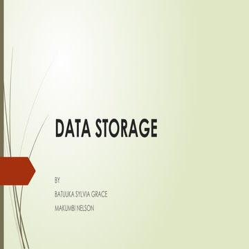 DATA STORAGE DESCRIPTION FOR DATABASE MANAGEMENT SYSTEMS