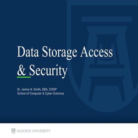 Data Storage Access and Security.pptx
