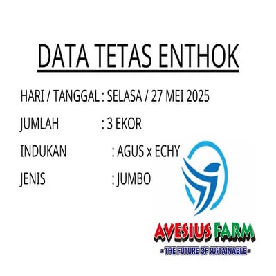 DATA TETAS bebek ENTHOK super jumbo.docx