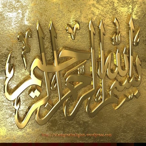 Data types by dr najeeb