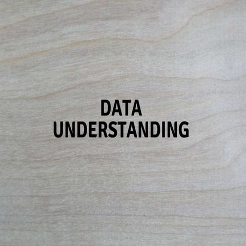 Data understanding | PPT