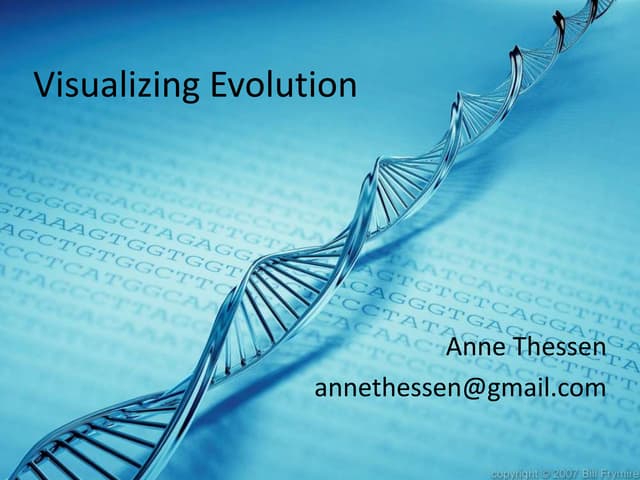Visualizing Evolution