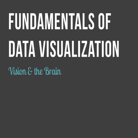 Data Viz CE 2014 Vision and the Brain