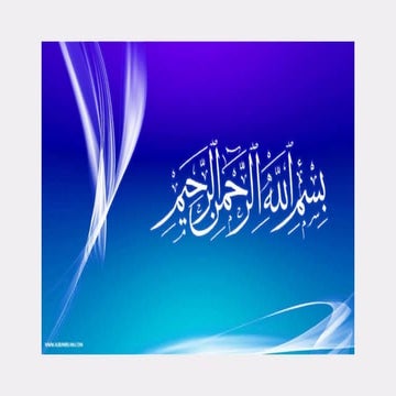 Meta Data and it's Type