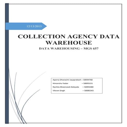 Data warehouse Project Report