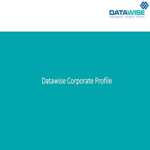 Datawise Group Profile