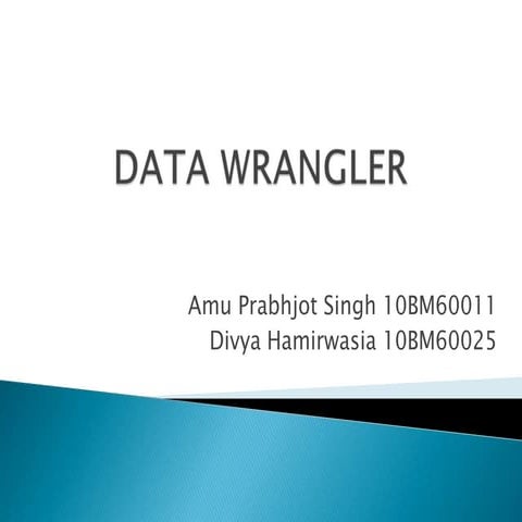 DataWrangler @VGSOM