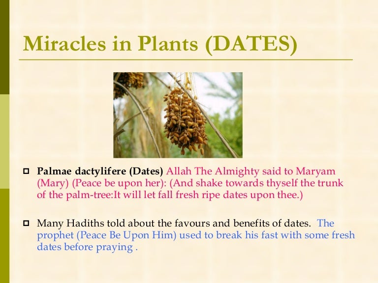Dates A Miracle Food