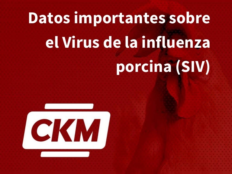 virus más importantes