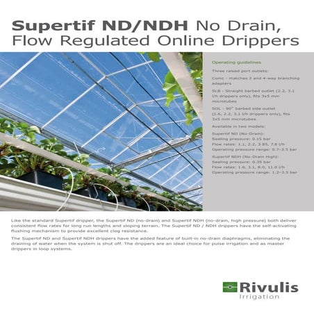 Dau tuoi nho giot co bu ap rivulis supertif  israel greenhouse