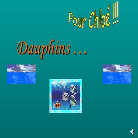 Dauphins Chloé 18[1]