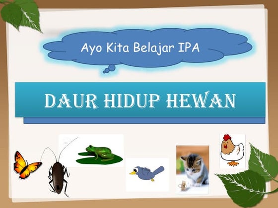 Kitaran hidup rama rama .slideshow | PPSX